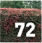 Preview Environmental Horticulture