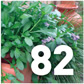 Preview Gardening Know-How