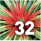 Preview Subtropicalia Collector