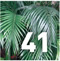 Preview Subtropicalia Collector