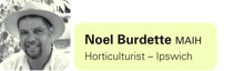 View contributor profile Noel Burdette