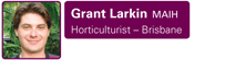 Grant Larkin