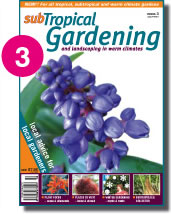 Issue 3