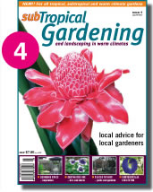 Issue 4