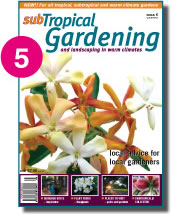 Issue 5