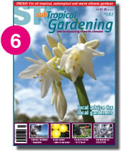 Issue 6