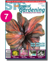 Issue 7