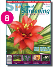 Issue 8
