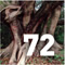 Preview Environmental Horticulture