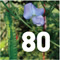 Preview Subtropicalia Produce