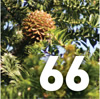 Preview Feature Article 7