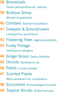 Preview Subtropicalia Collector