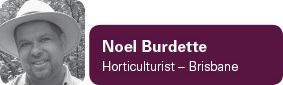 Noel Burdette