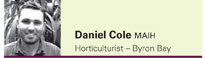 Daniel Cole