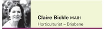 Claire Bickle
