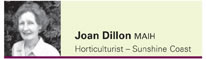 Joan Dillon