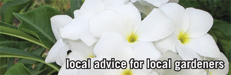 local advice for local gardeners