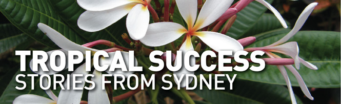 Tropical Success Stories From Sydney