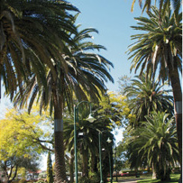 Queen's Park Botanic Gardens, Toowoomba