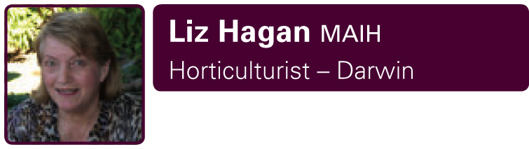 Liz Hagen