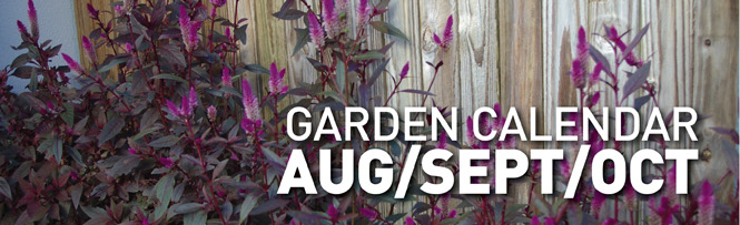 Garden Calendar - AUG/SEPT/OCT