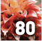 Subtropicalia Collector