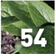 Subtropicalia Produce 2