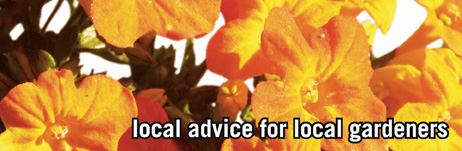 local advice for local gardeners