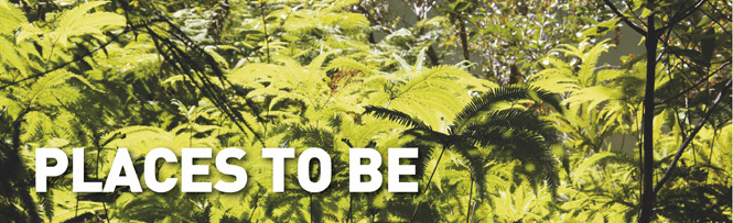 Places To Be - Eungella National Park