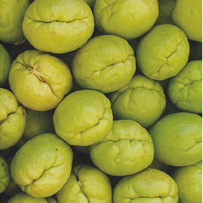 Chokos