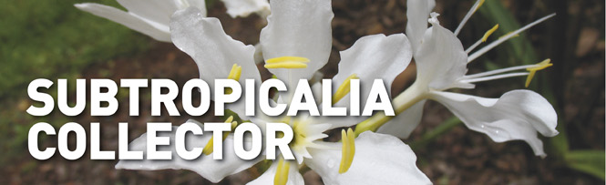 Subtropicalia Collector