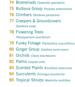 Subtropicalia Collector