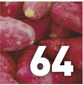 Garden Calendar