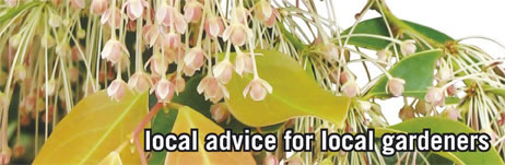 local advice for local gardeners