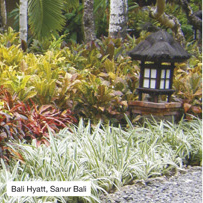 Bali Hyatt, Sanur Bali