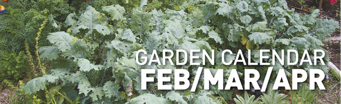 Garden Calendar - FEB/MAR/APR
