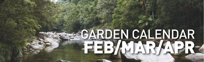 Mossman Gorge