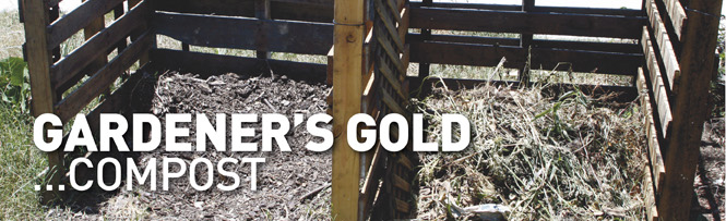 Gardener's Gold&hellip;Compost