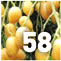 Fruit: Wampee/Wampi