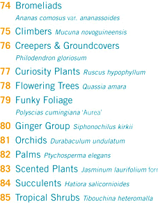 Subtropicalia Collector