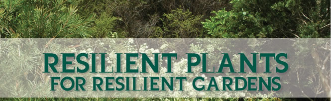 Resilient Plants