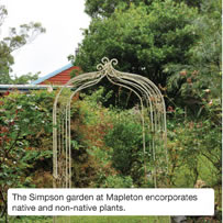 The Simpson garden at Mapleton encorporates native and non-native plants.