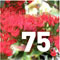 Preview Subtropicalia Collector