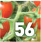Preview Subtropicalia Produce &ETH; Vegies