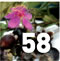 Preview Subtropicalia Produce &ETH; Fruit