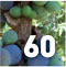 Preview Subtropicalia Produce &ETH; Bushfood