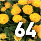 Preview Garden Calendar