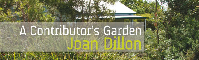 A Contributor&rsquo;s Garden