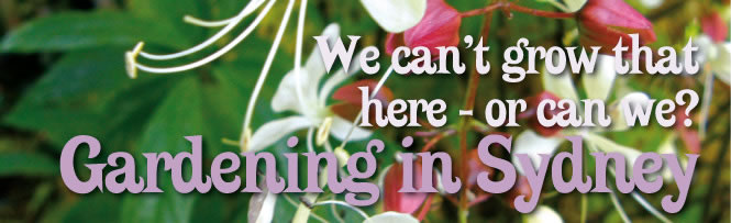 We can&rsquo;t grow that here - or can we? Gardening in Sydney