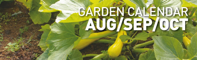 Garden Calendar - AUG/SEP/OCT